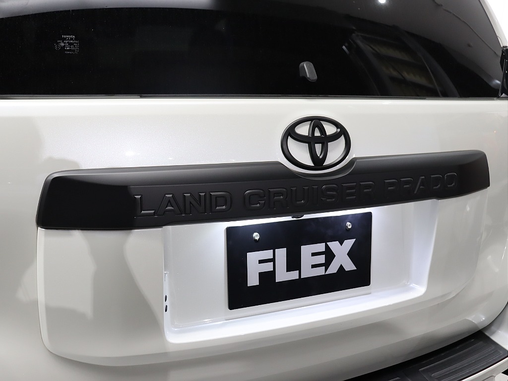 リアガーニッシュ！