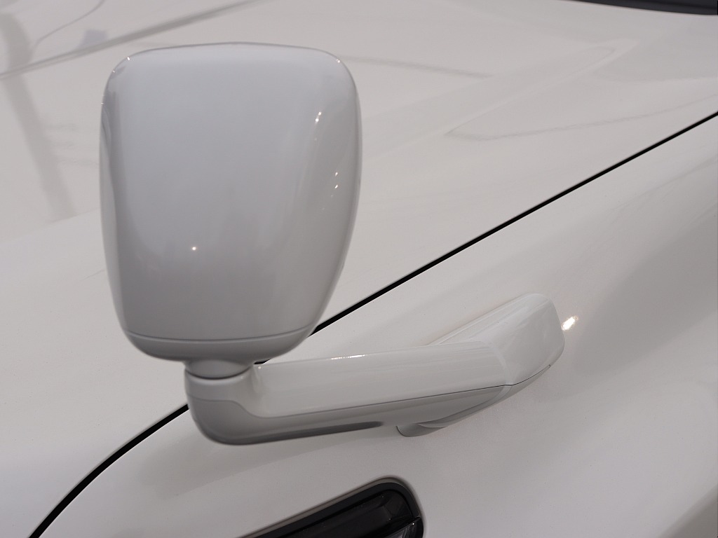 ガッツミラー！