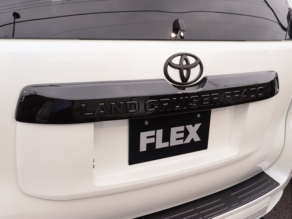 リアガーニッシュ！