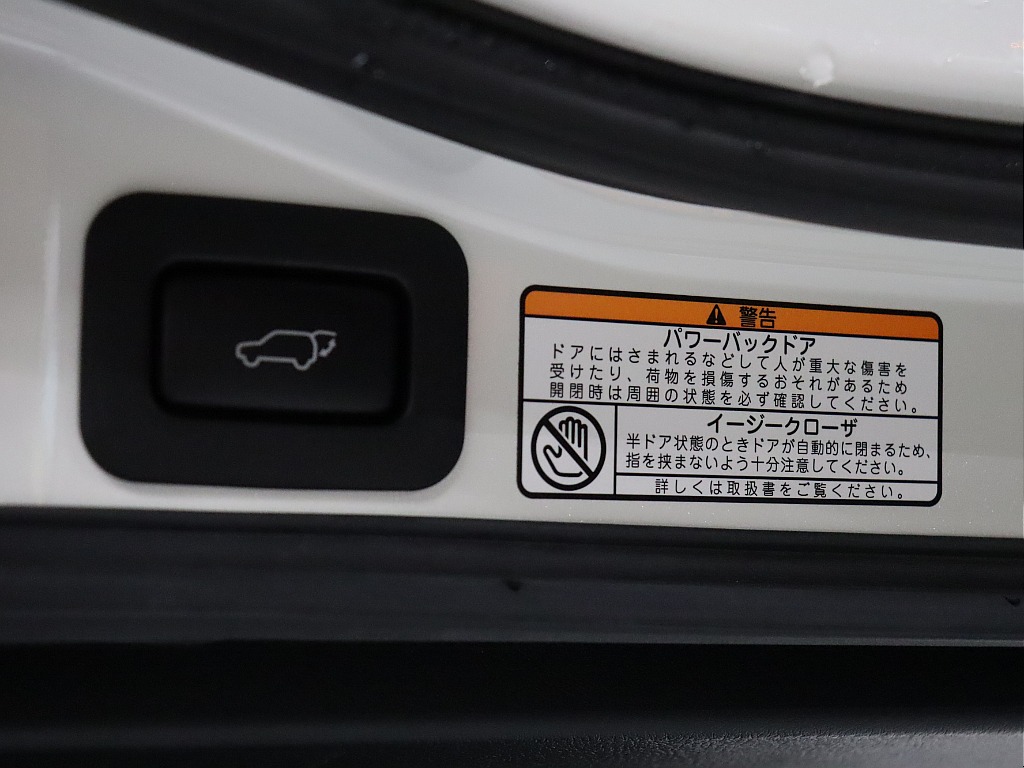 純正オプションのパワーバックドア装備！