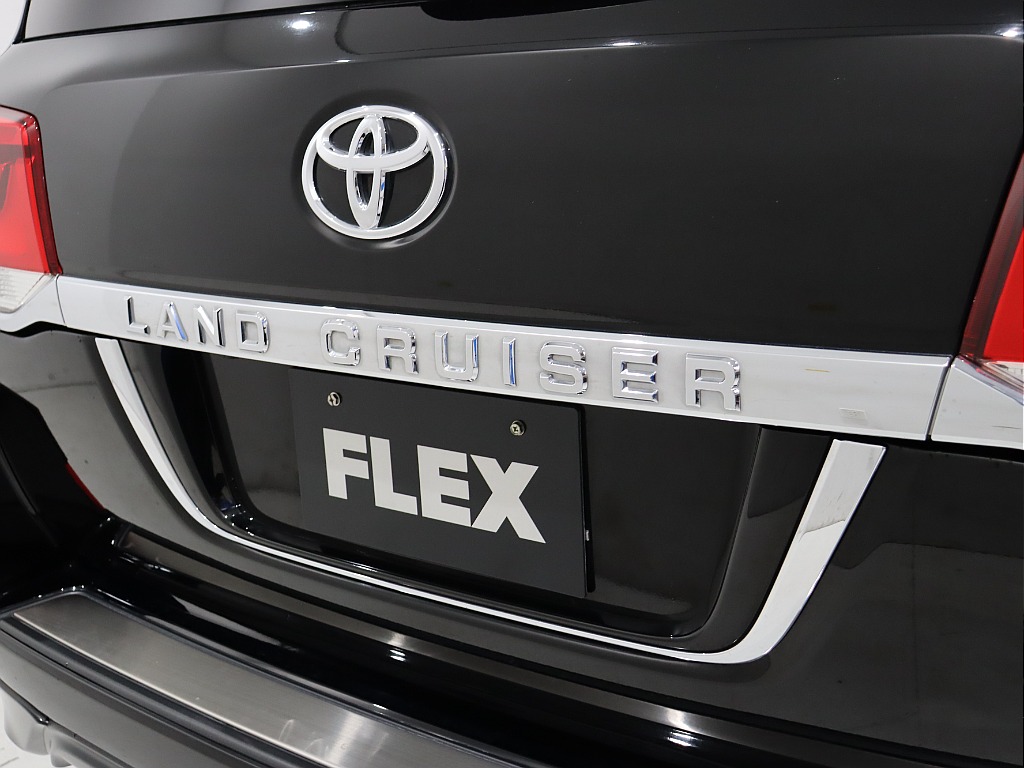 リアガーニッシュ！