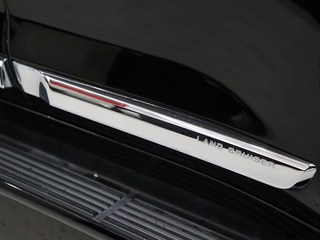 ZX純正サイドモール！