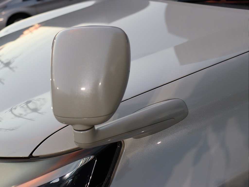 ガッツミラー！