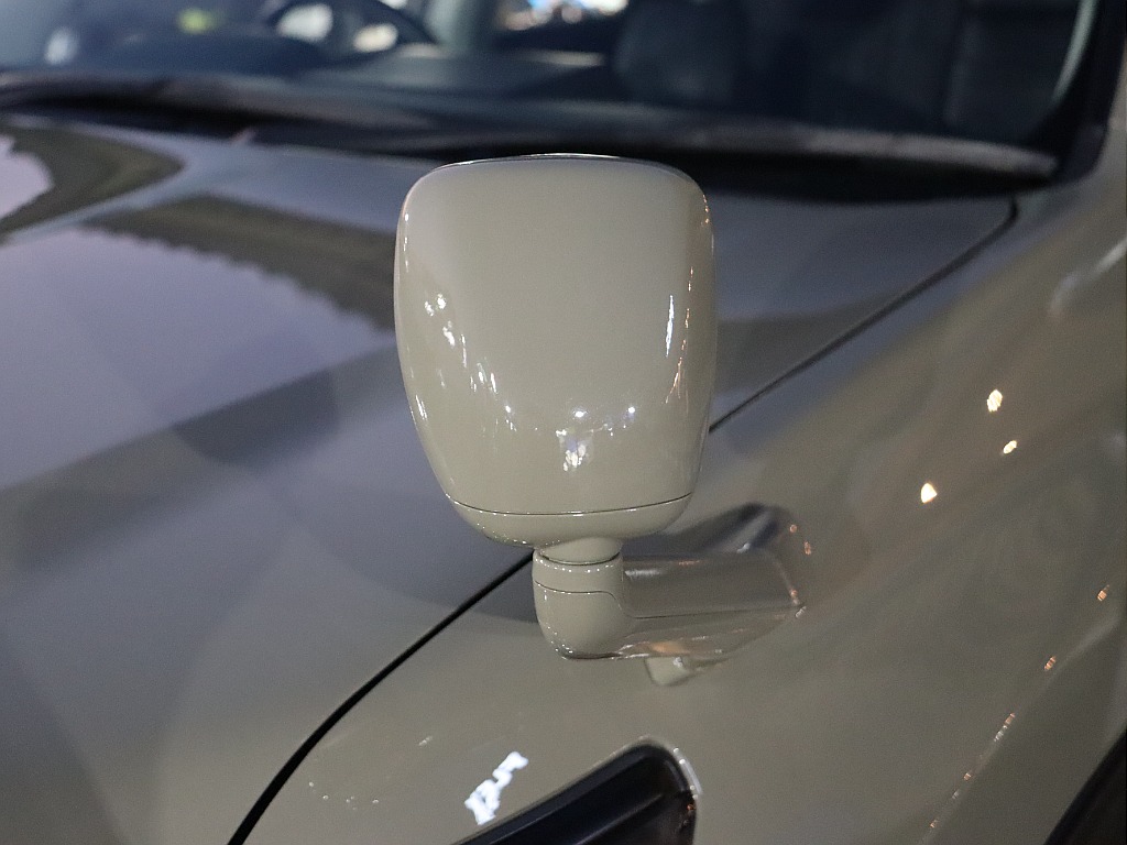 ガッツミラー！