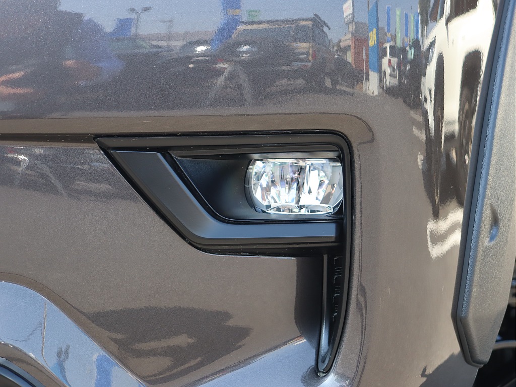 フォグランプベゼルもマッドブラック塗装！