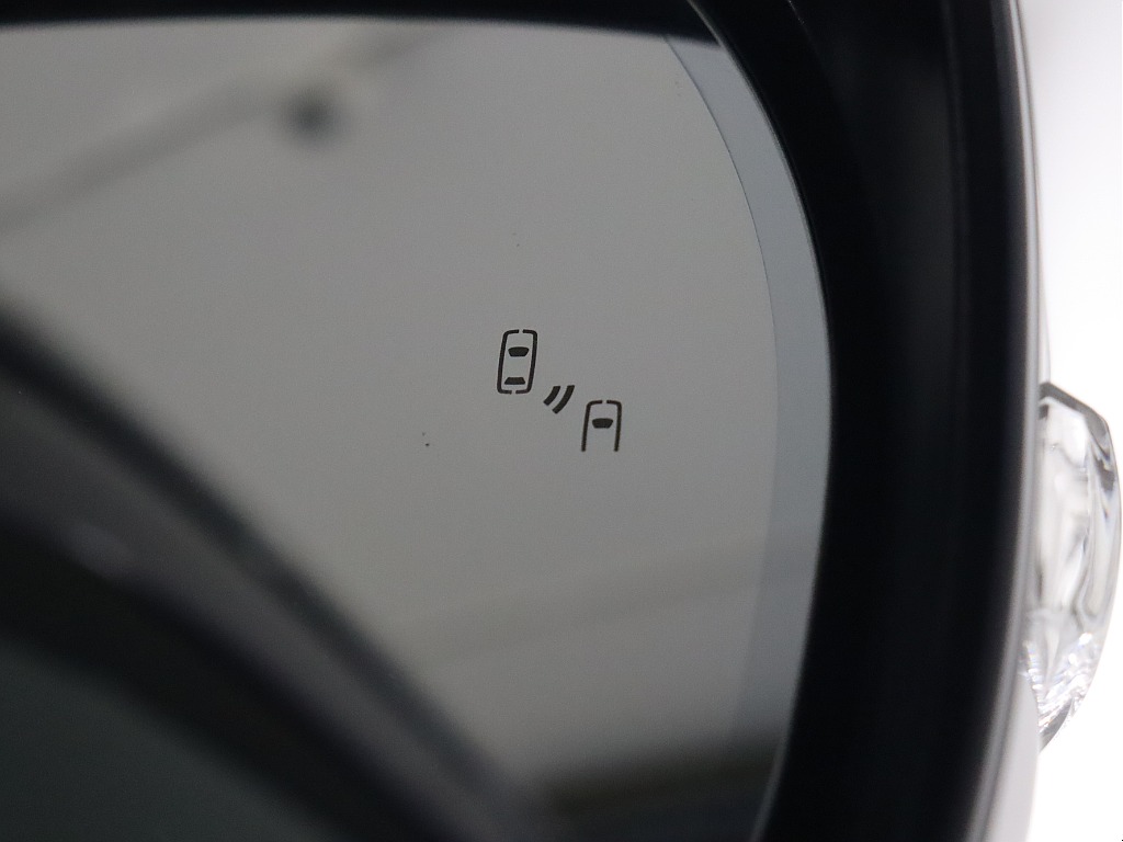 ブラインドスポットモニター装備！