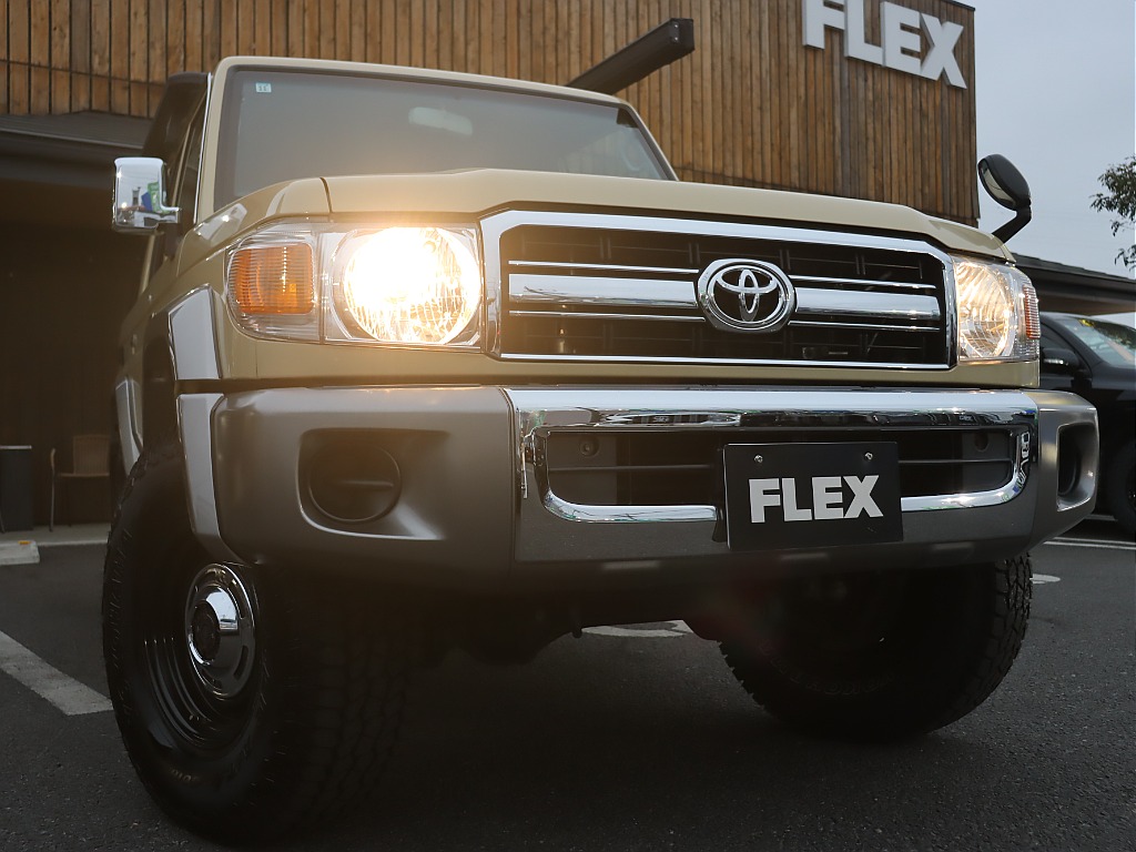 あえてのハロゲンヘッドライトがイイ感じです♪