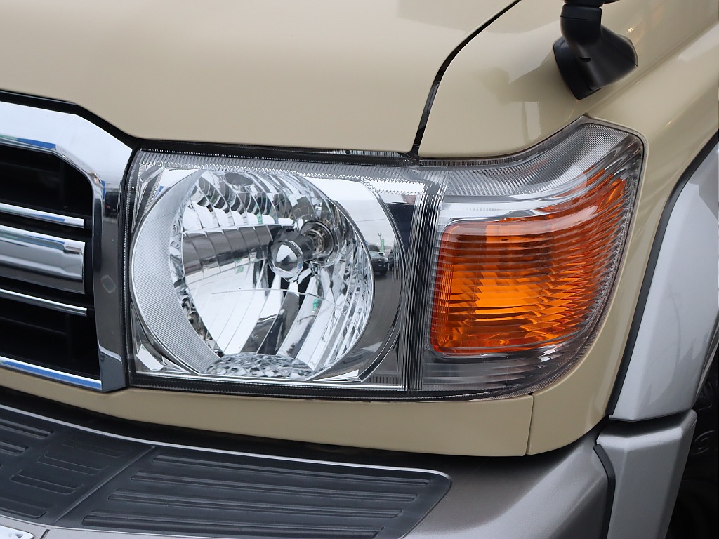 伝統的な丸目から異形ヘッドライトになっています！