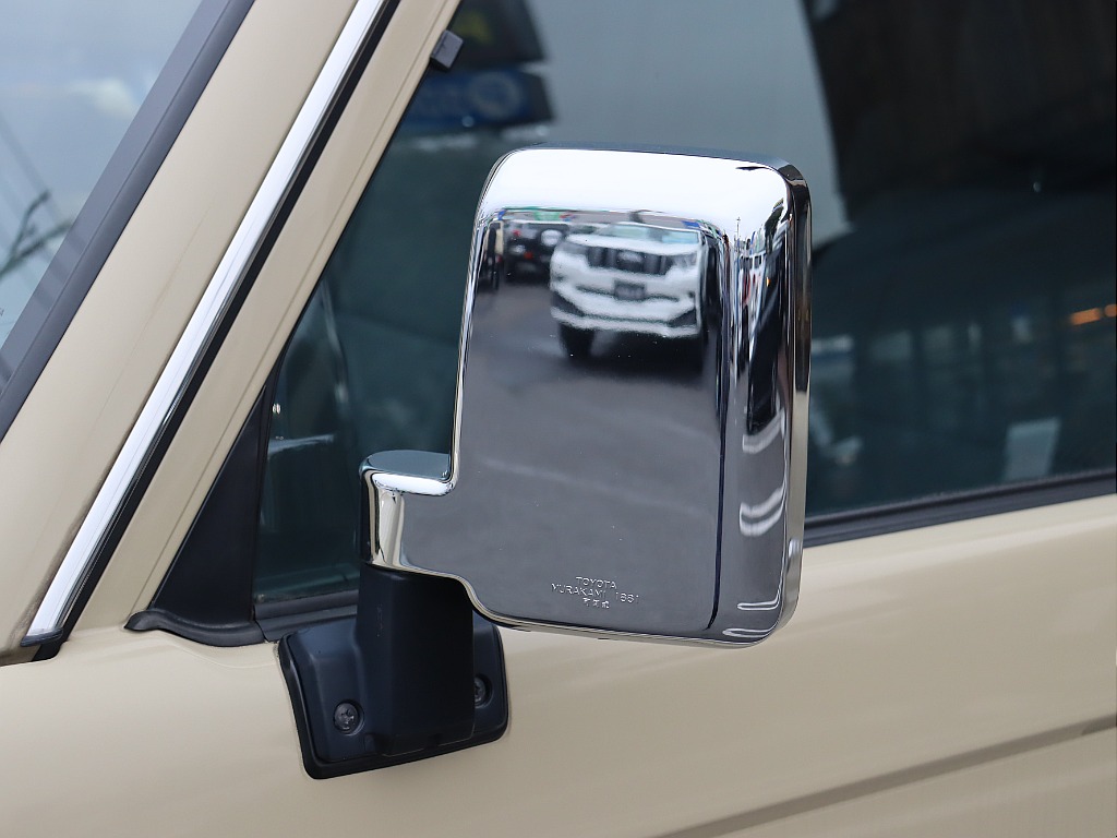 メッキサイドミラーもキレイな状態です！