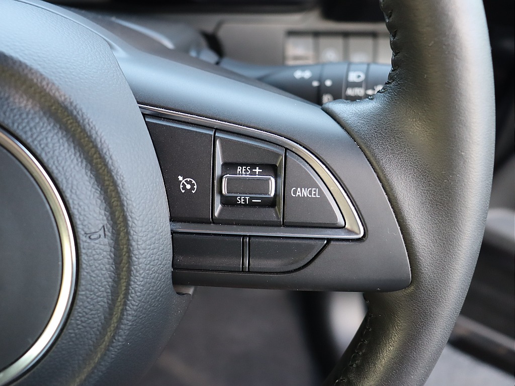 クルーズコントロール！