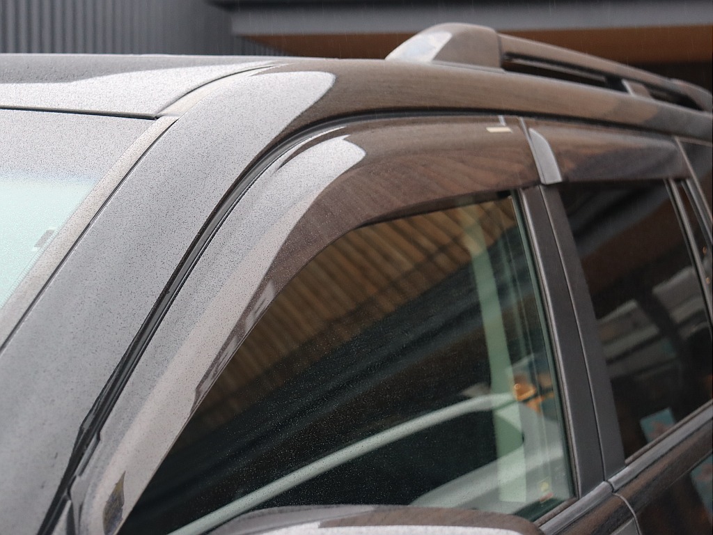 あると嬉しいサイドバイザー付き！