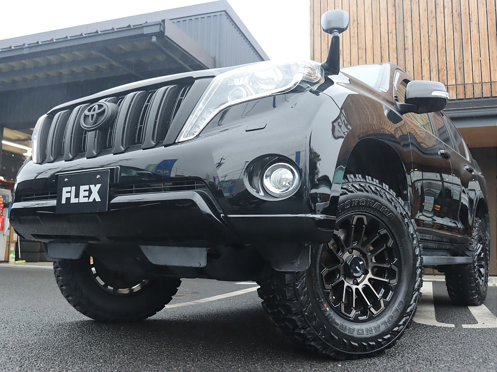 中期型のフェイスが好きな方も多いですね♪