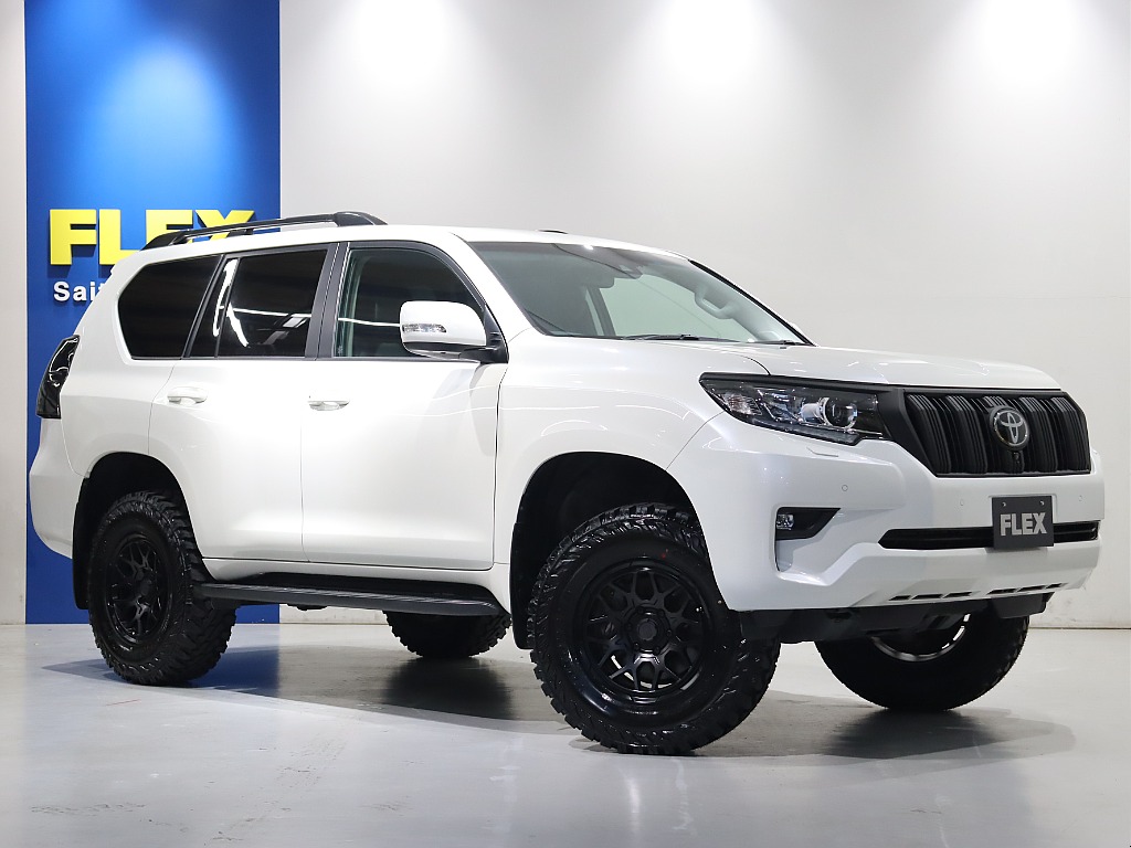 マルチテレインモニターでガッツミラーレス！！