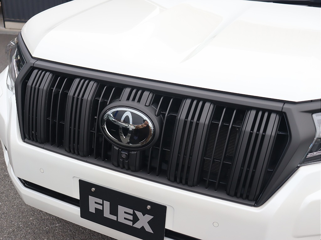 各部マッドブラックで特別仕様車のような1台！