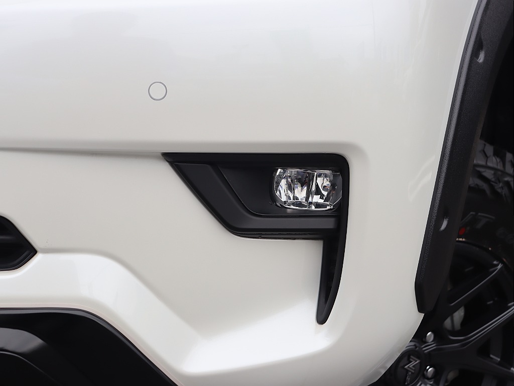 フロントフォグランプ１ガーニッシュはマットブラック塗装済み！