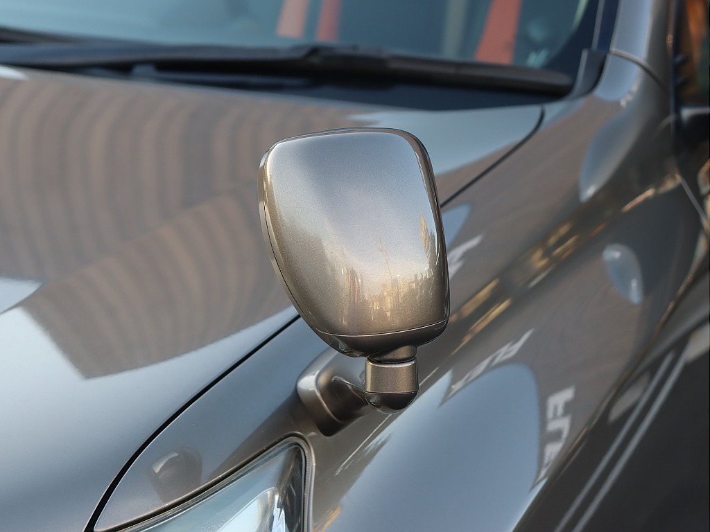ガッツミラー！