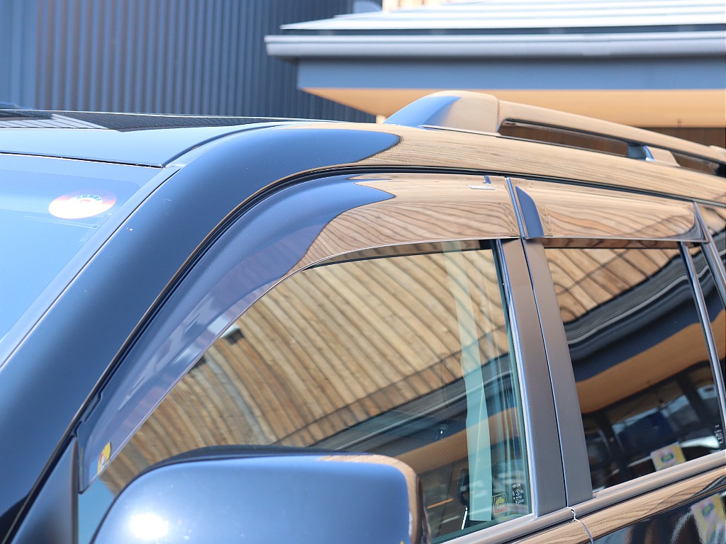 サイドバイザー付き！