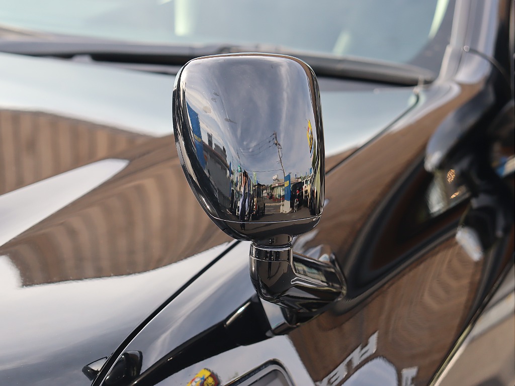 ガッツミラー！