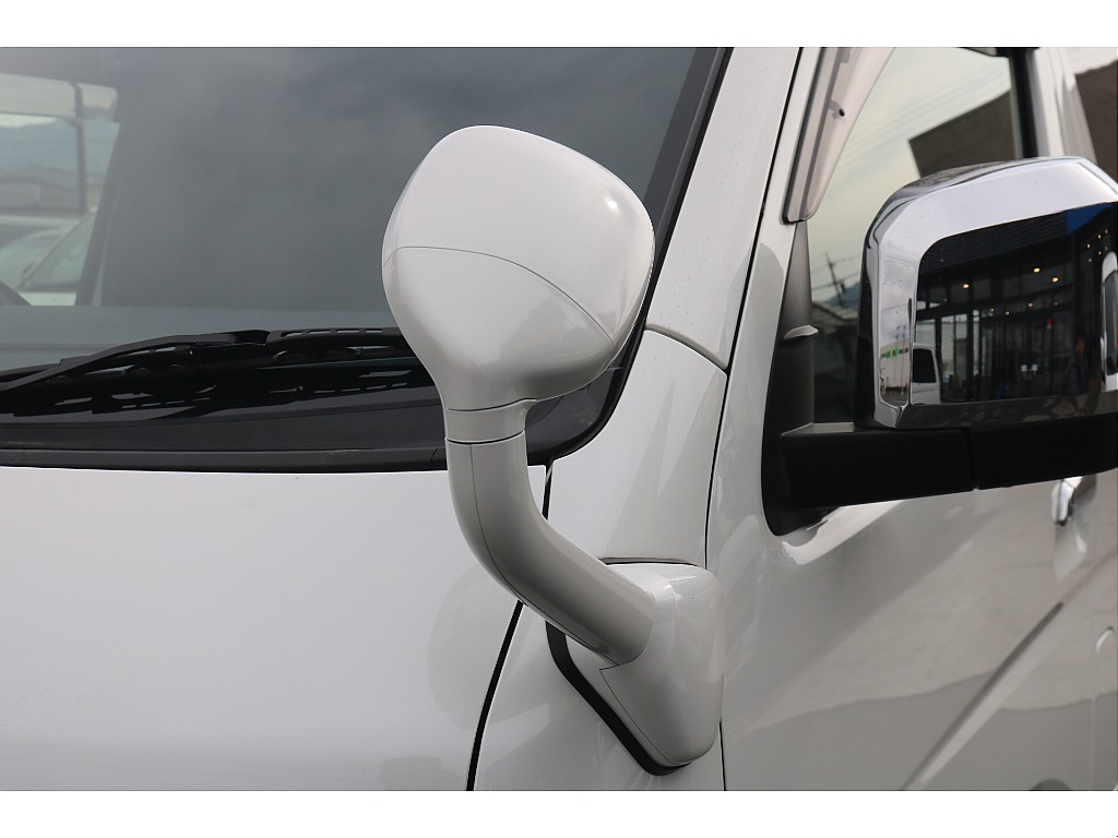 ガッツミラーボディ同色塗装！