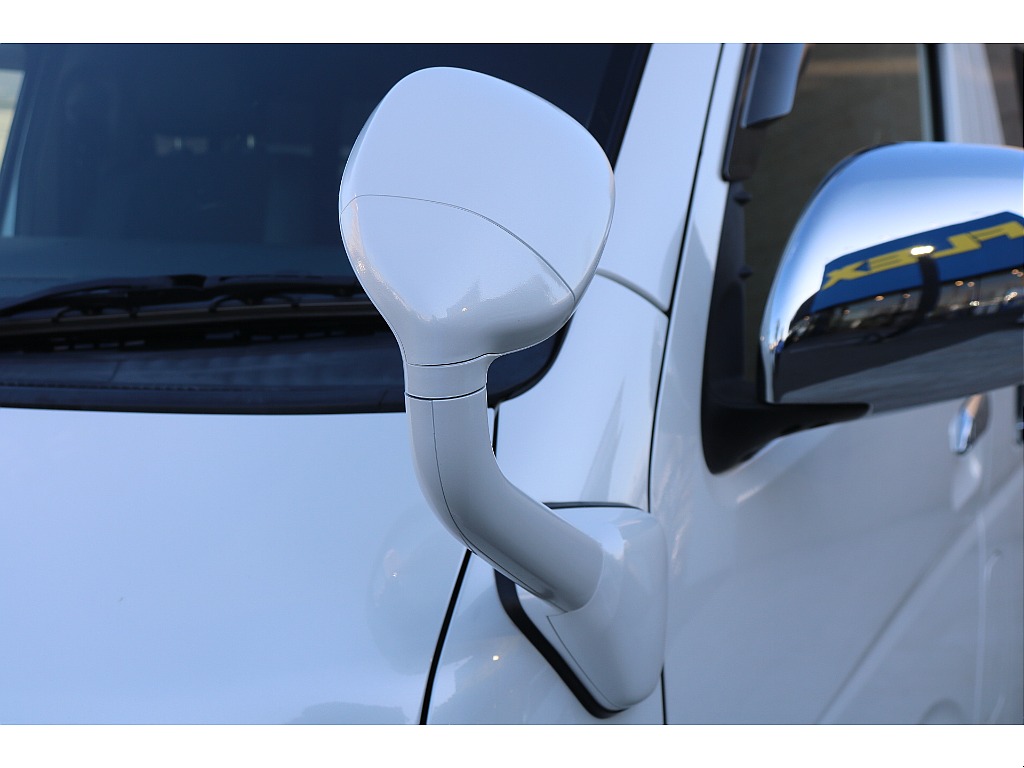 ガッツミラーボディ同色塗装！