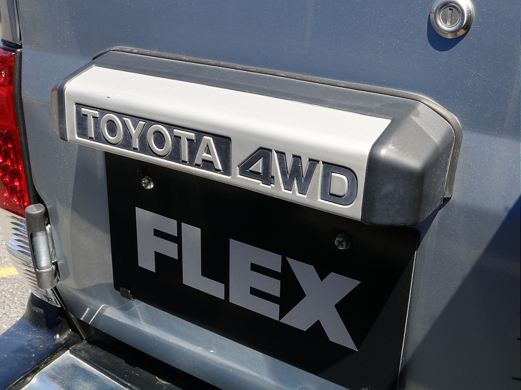 リアガーニッシュ！