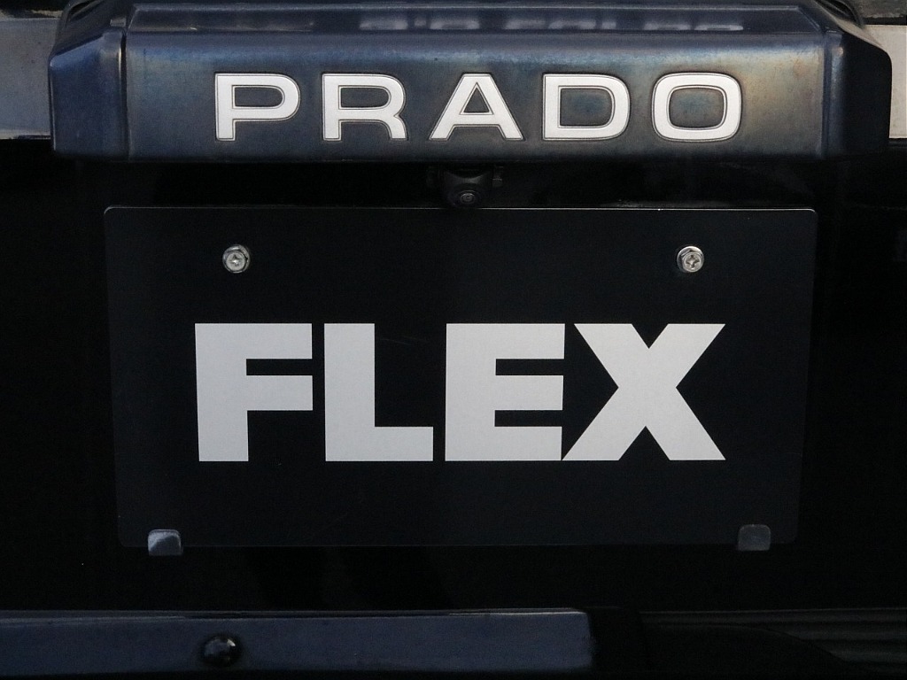 リアガーニッシュ