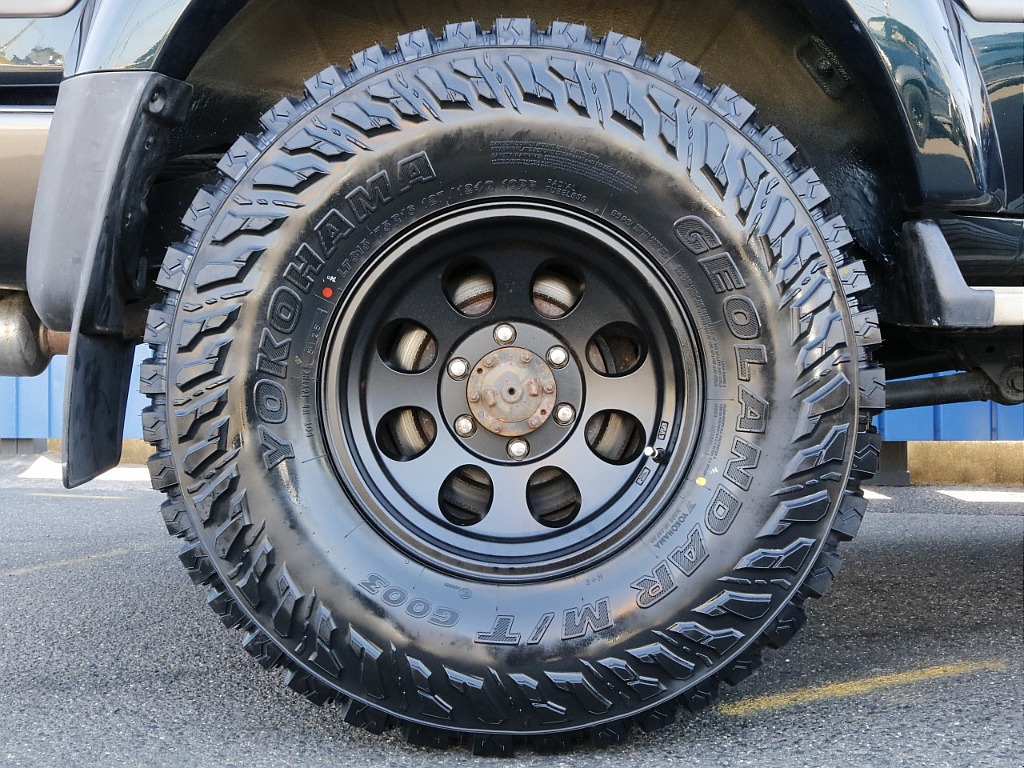 ホーイルはジムラインAWとなります