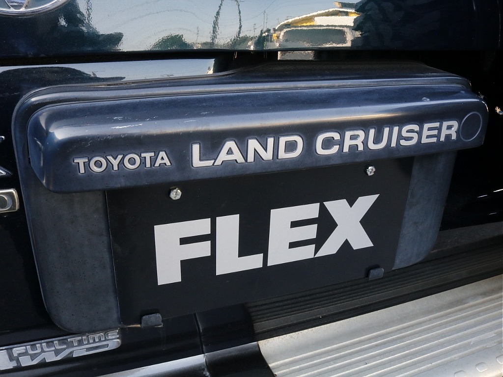 リアガーニッシュ