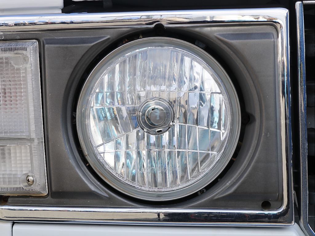 かわいい丸目ちゃんです。