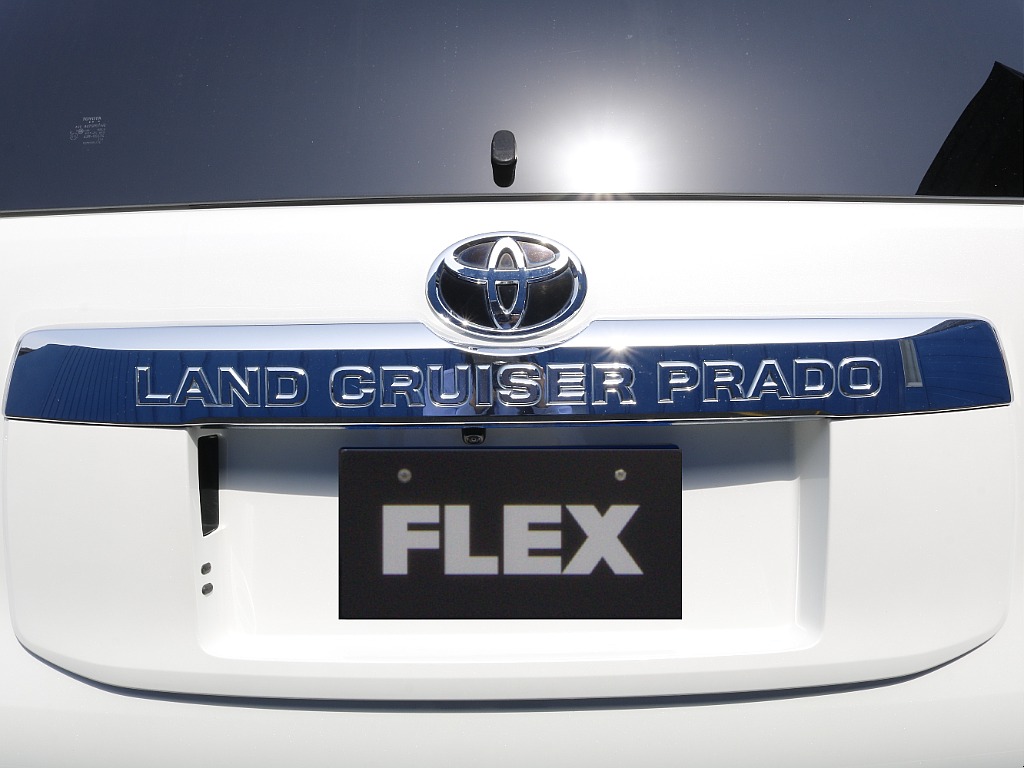 リアガーニッシュ