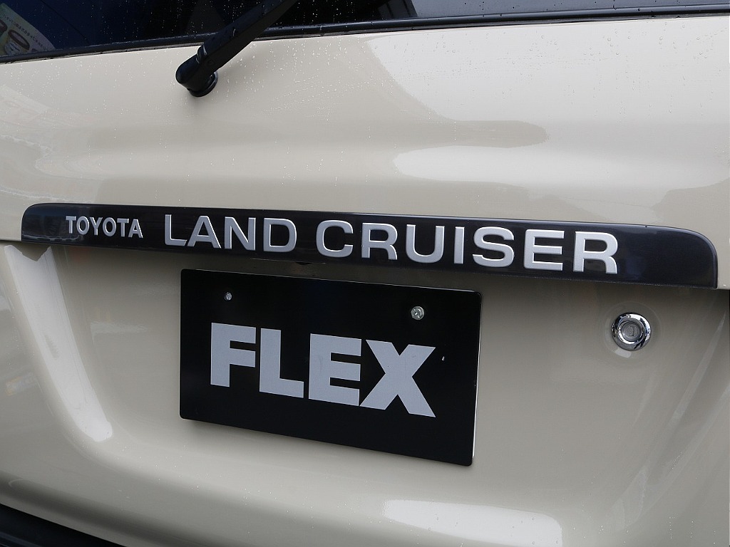 リアガーニッシュ！