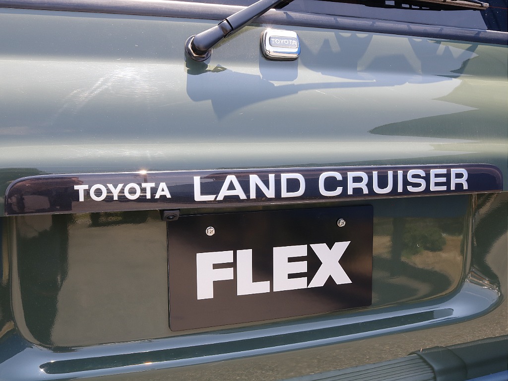 リアガーニッシュ！