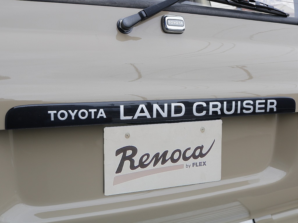 リアガ―ニッシュ