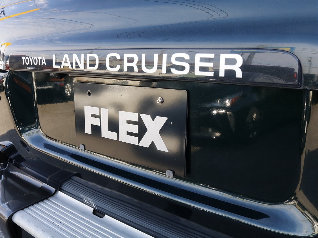 リアガーニッシュ