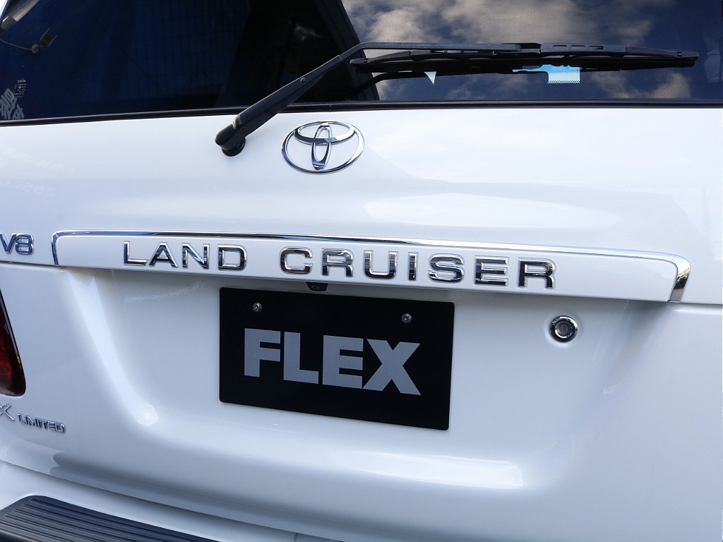 リアガーニッシュ