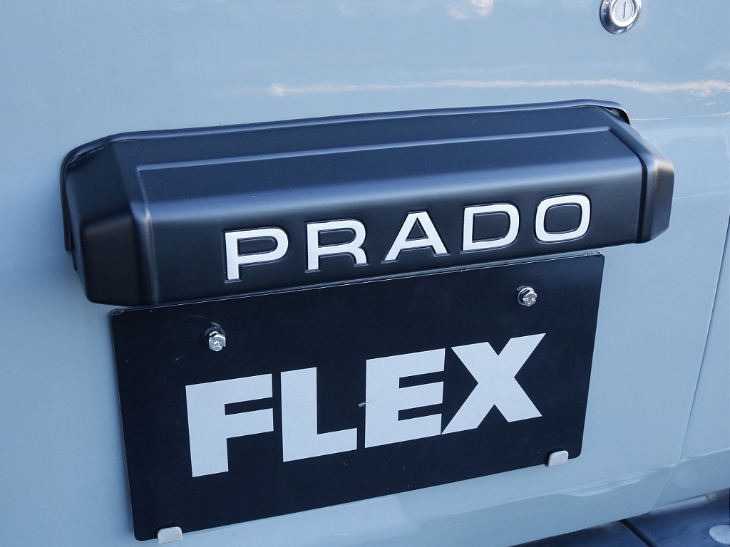 リアガーニッシュ