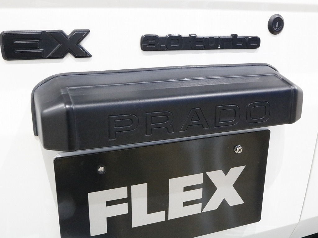 リアガーニッシュ