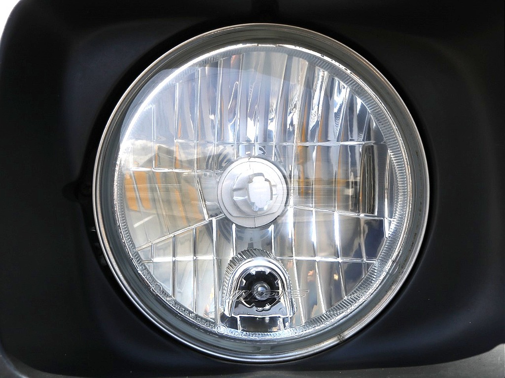 かわいい丸目ちゃんです♪