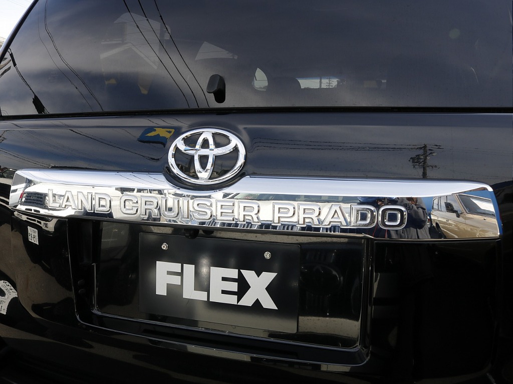 リアガーニッシュ