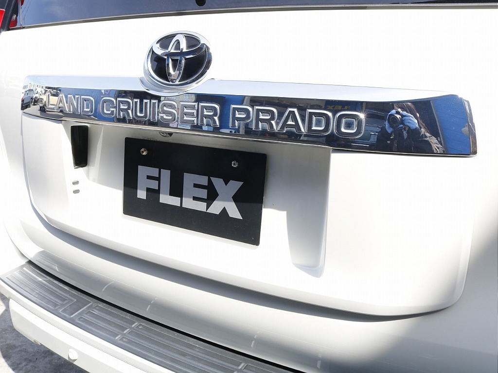 リアガーニッシュ