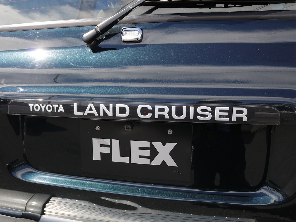 リアガーニッシュ!!