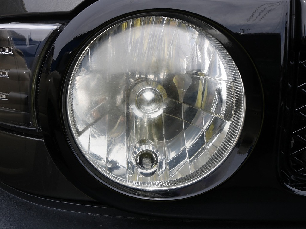 かわいい丸目ちゃんです♪