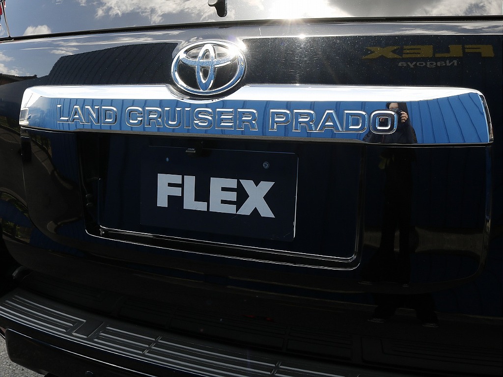 リアガーニッシュ