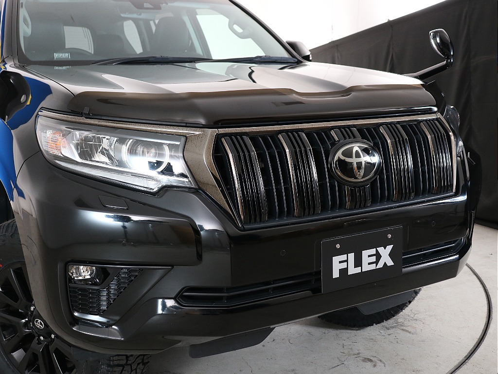 バグガード装着でちょこっとカスタムを！