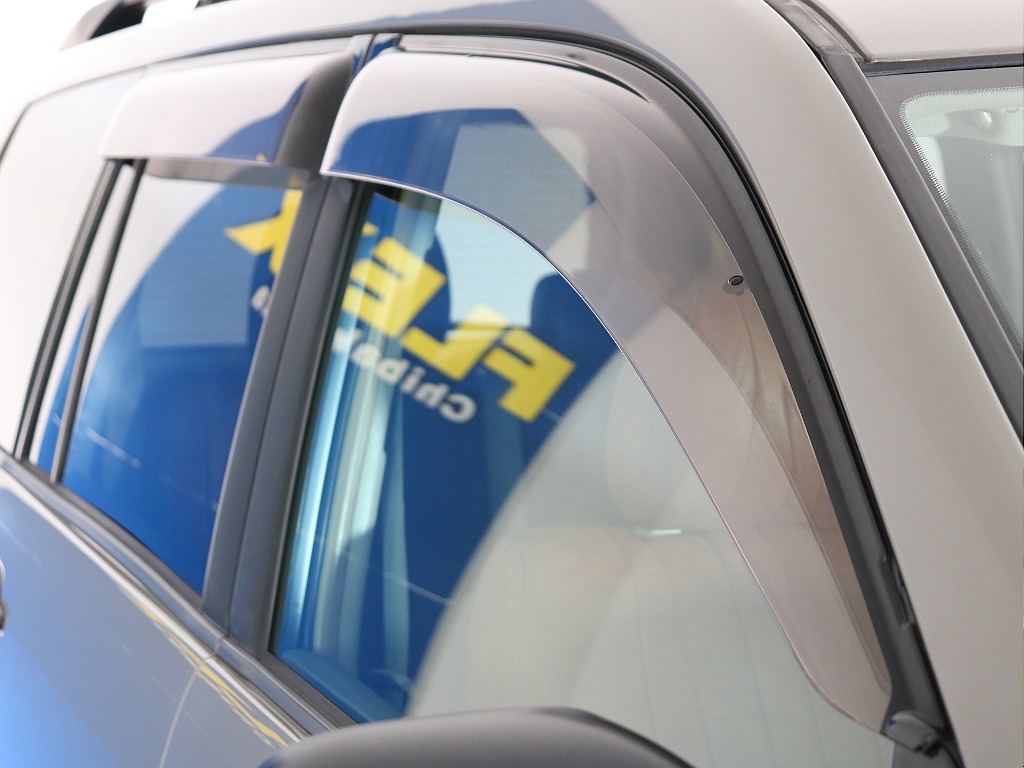 サイドバイザー付きの車両になります！