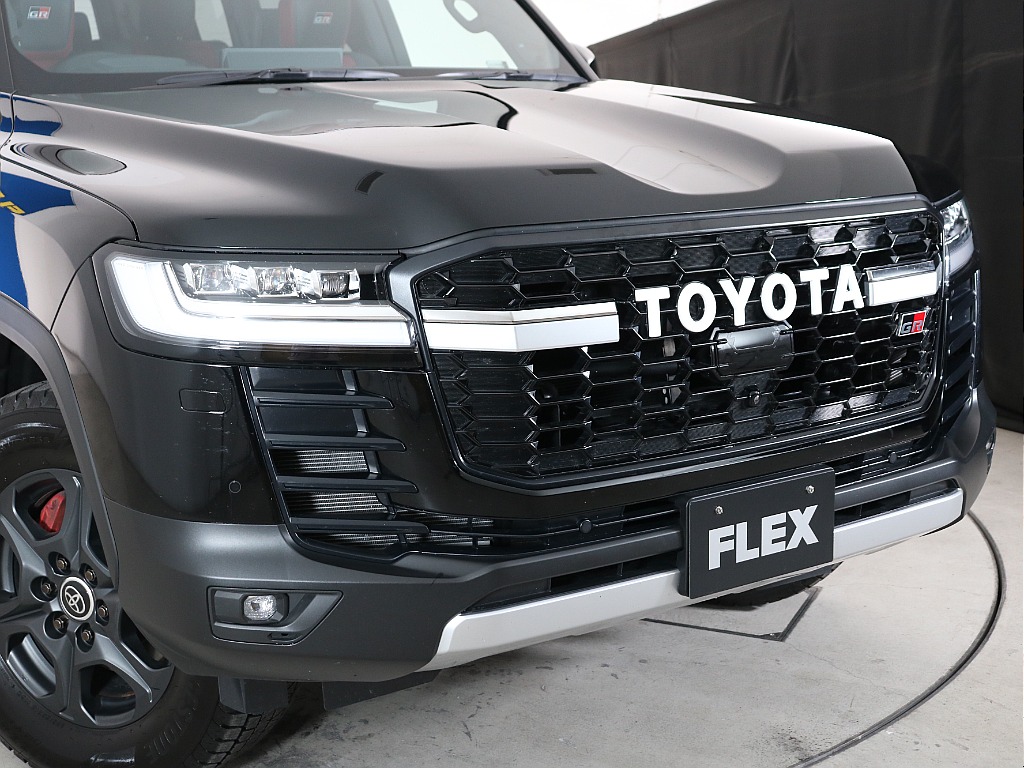 専用フロントマスク！迫力がありますね！