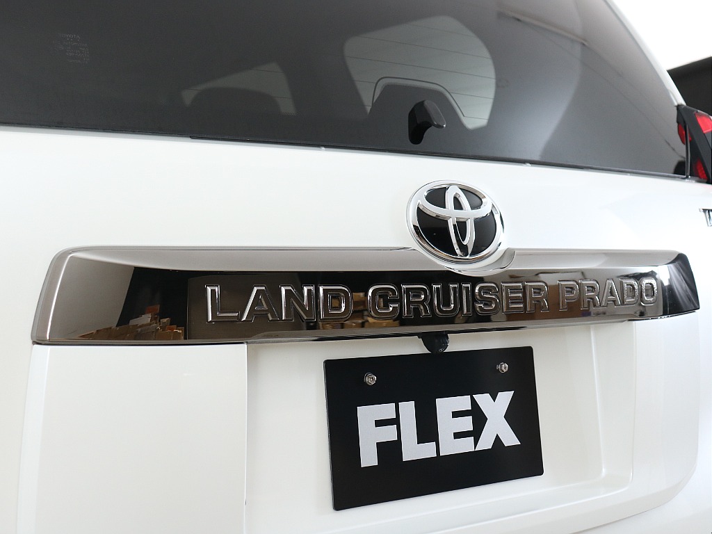 リアガーニッシュ！