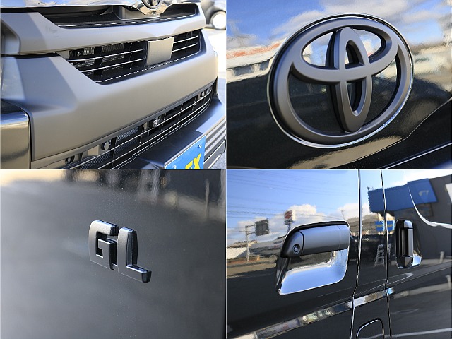 エンブレム類マッドブラック塗装