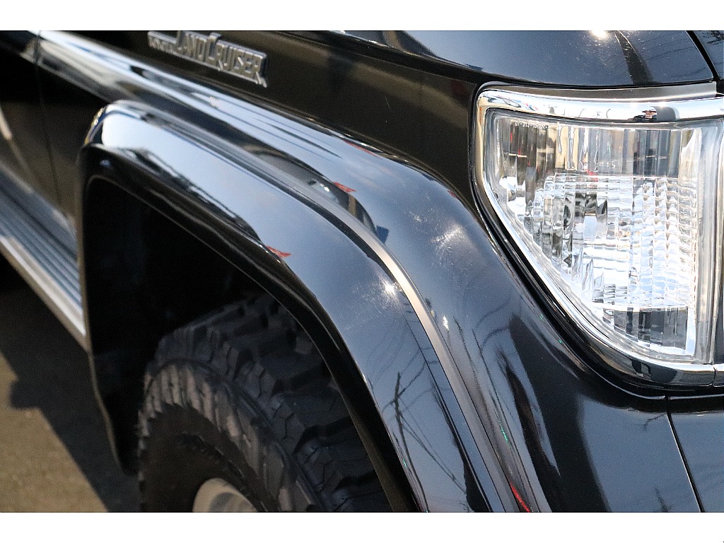 フェンダーモール交換済み！