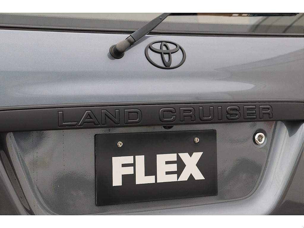 リアガーニッシュ、エンブレムもブラック塗装施しました！